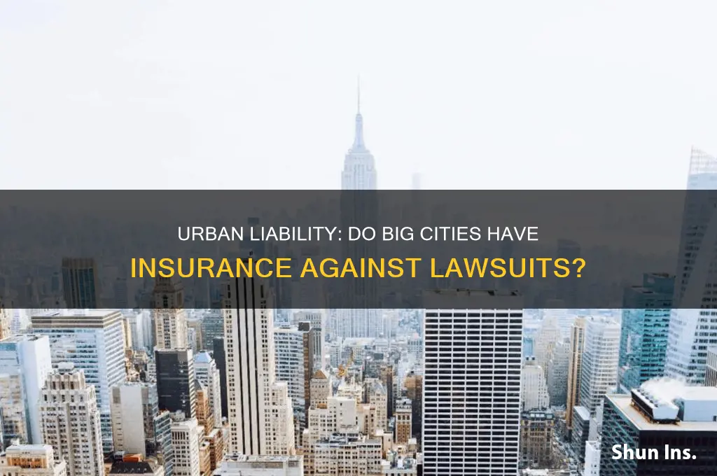 do big cities have insurance against lawsuits
