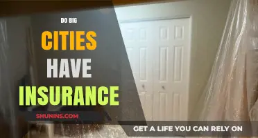 Urban Risks: Do Big Cities Have Adequate Insurance Coverage?