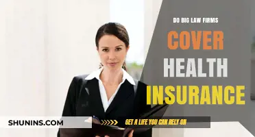 Do Big Law Firms Offer Health Insurance? What to Expect