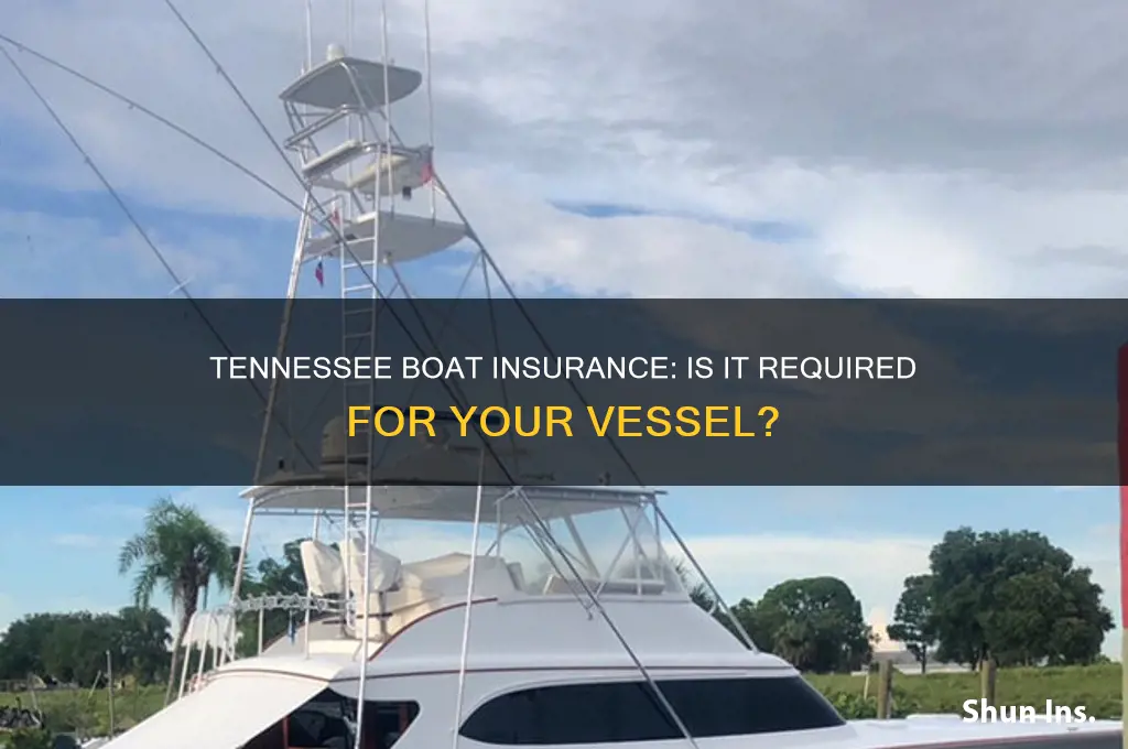 do boat have ot be insured in tennessee
