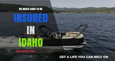 Idaho Boat Insurance Requirements: What You Need to Know
