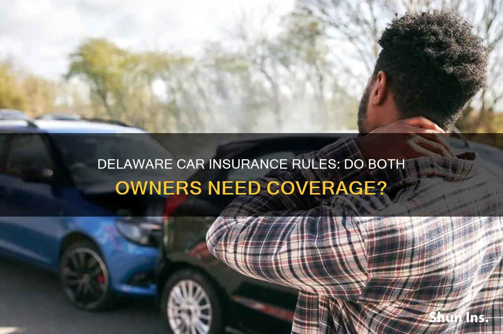 do both owners have to be on insurance delaware