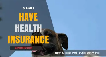 Do Boxers Have Health Insurance? Exploring Coverage for Fighters