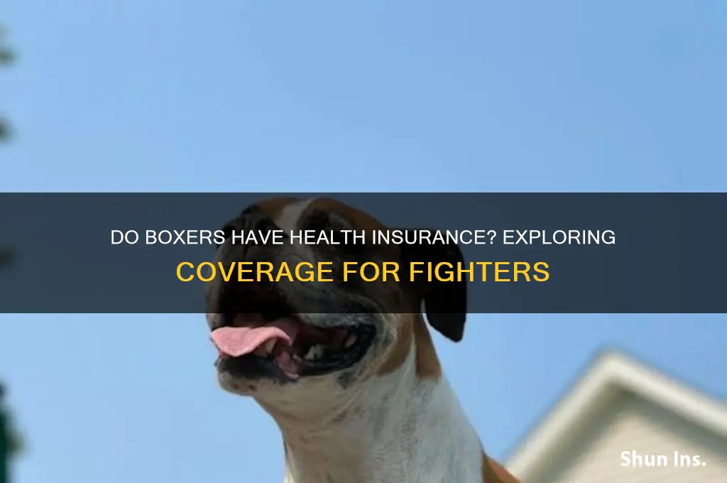 do boxers have health insurance