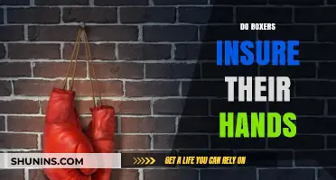 Do Boxers Insure Their Hands? Exploring the Risks and Protections