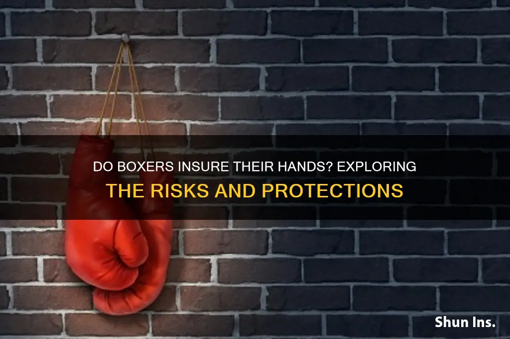 do boxers insure their hands