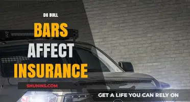 Bull Bars: Insurance Impact and Implications