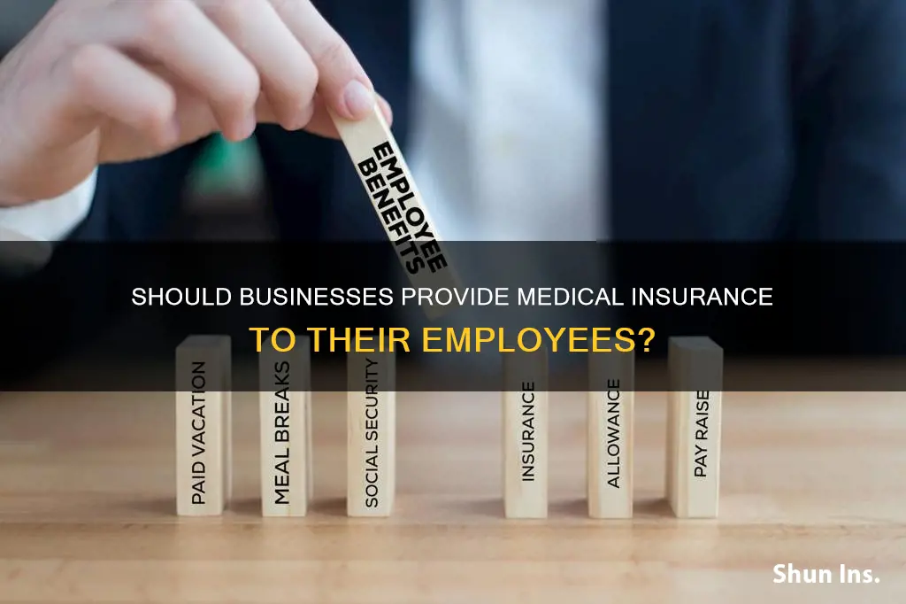 do businesses have to provide medical insurance to employees