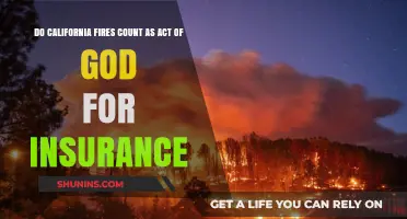 Are California Wildfires Considered Acts of God for Insurance Claims?