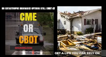 Catastrophe Insurance Options: Are They Still Available at CME or CBOT?