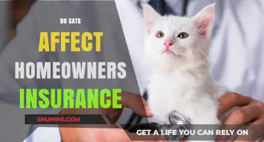 How Cats Influence Home Insurance Policies