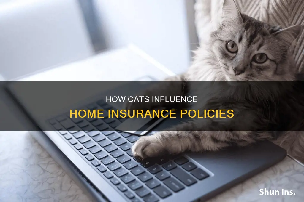 do cats affect homeowners insurance