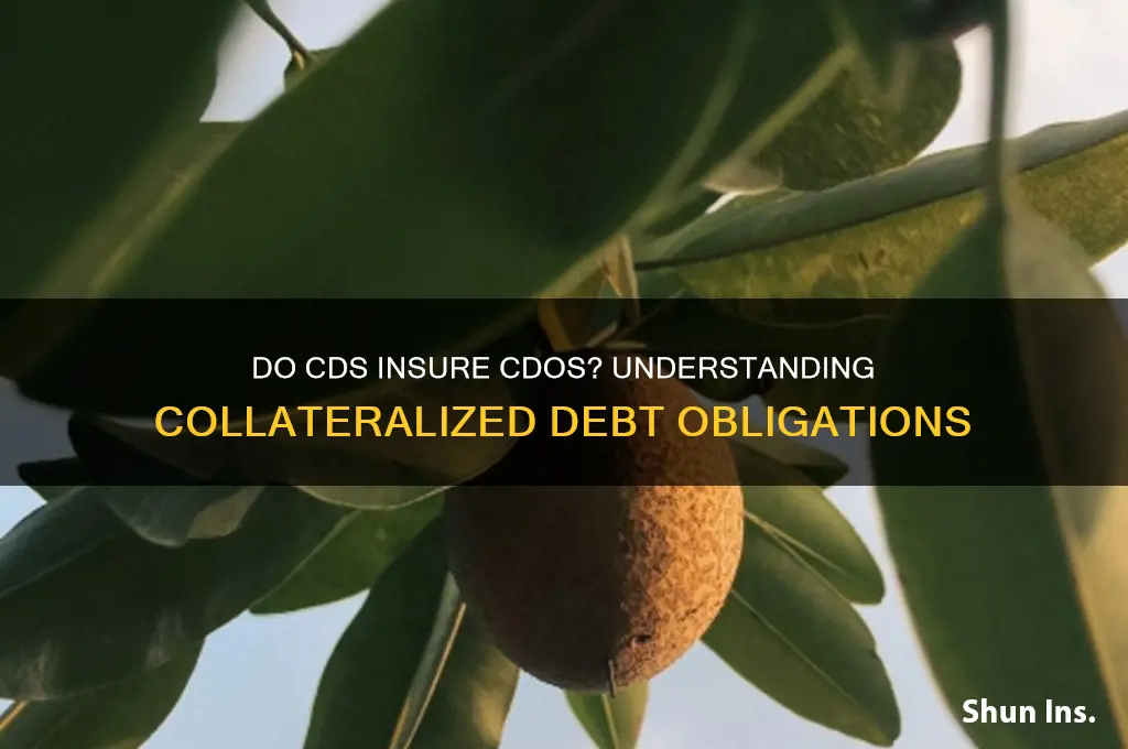 do cds insure cdos