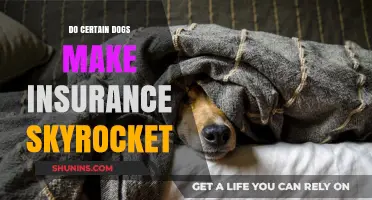 Do Certain Dog Breeds Cause Homeowners Insurance Rates to Skyrocket?