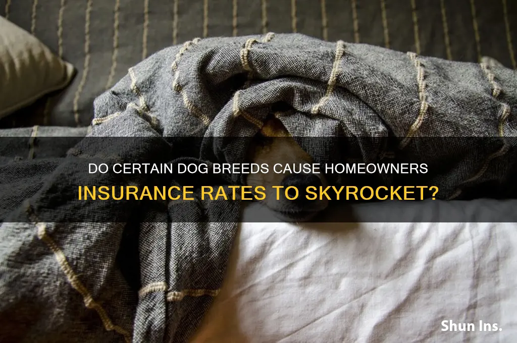 do certain dogs make insurance skyrocket