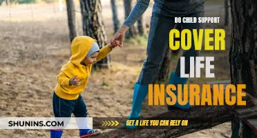 Child Support and Life Insurance: What's Covered?