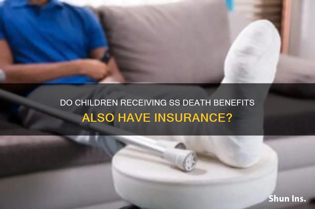 do children receicing s s death benifits have insurance also