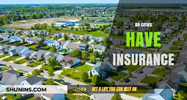 Urban Risk Management: Do Cities Have Insurance Coverage?