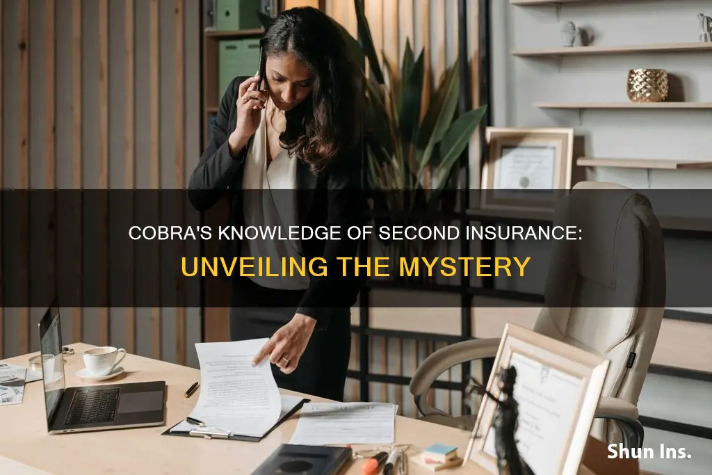 do cobra know about second insurance