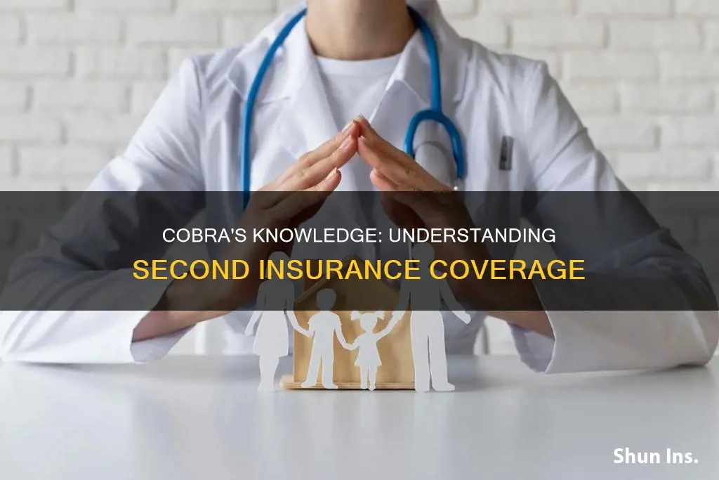 do cobra know about second insurance