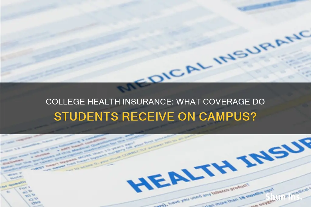 do college have insurance through the college
