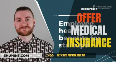 Medical Insurance: What Companies Should Offer Their Employees