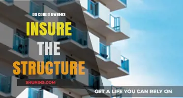 Do Condo Owners Insure the Structure? Understanding Your Coverage