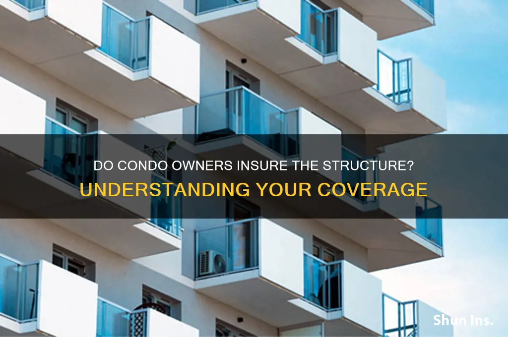 do condo owners insure the structure