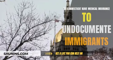 Connecticut's Medical Insurance: Undocumented Immigrants' Access Explored