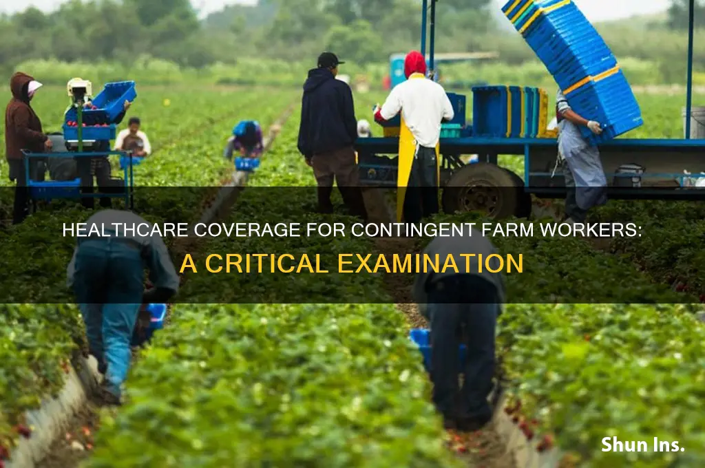 do contingent farm workers have healthcre insurance