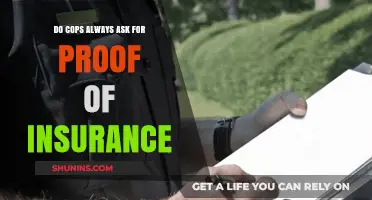 Do Cops Always Ask for Proof of Insurance During Traffic Stops?