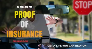 Do Cops Ask for Proof of Insurance During Traffic Stops?