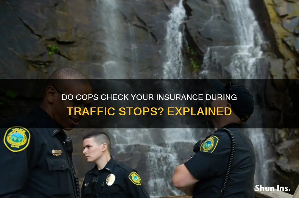 do cops run your insurance while driving