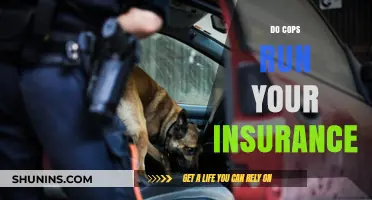Do Cops Check Your Insurance During Traffic Stops? Explained