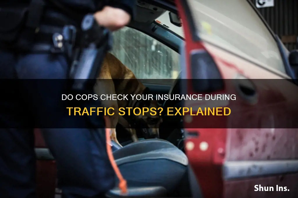 do cops run your insurance