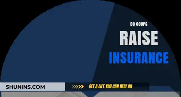 Do Coups Increase Insurance Premiums? Exploring Political Risk Impacts