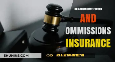 Do Courts Have Errors and Omissions Insurance? Exploring Legal Protections