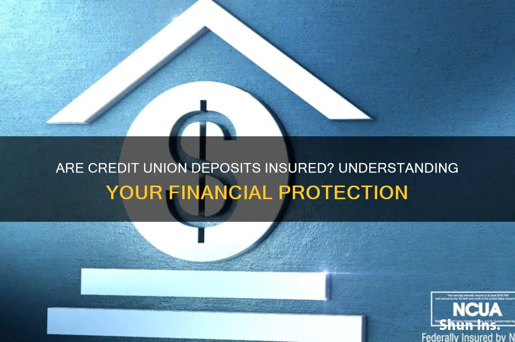 do credit unions have deposit insurance