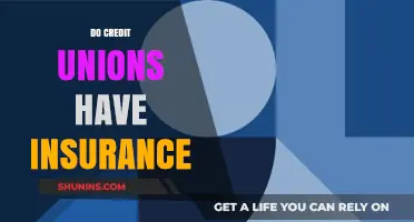 Do Credit Unions Offer Insurance? Understanding Your Financial Protection