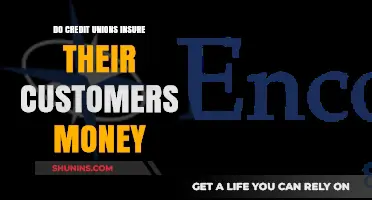 Credit Union Customers: Is Your Money Insured?