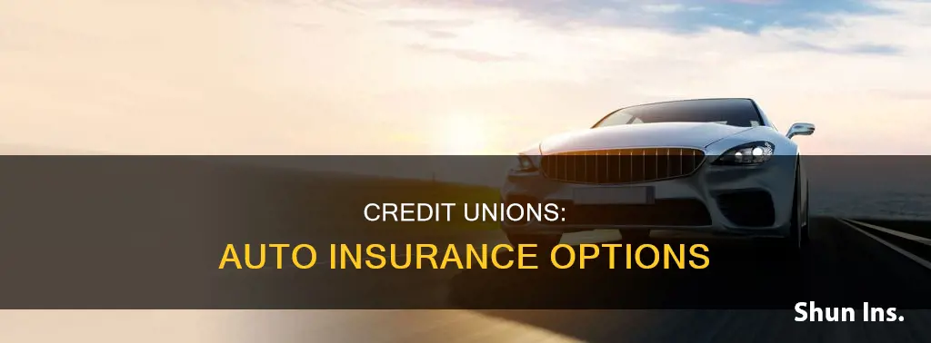 do credit unions offer auto insurance