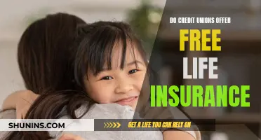 Credit Union Perks: Free Life Insurance Offer?