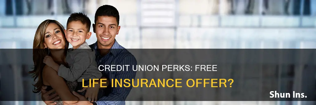 do credit unions offer free life insurance