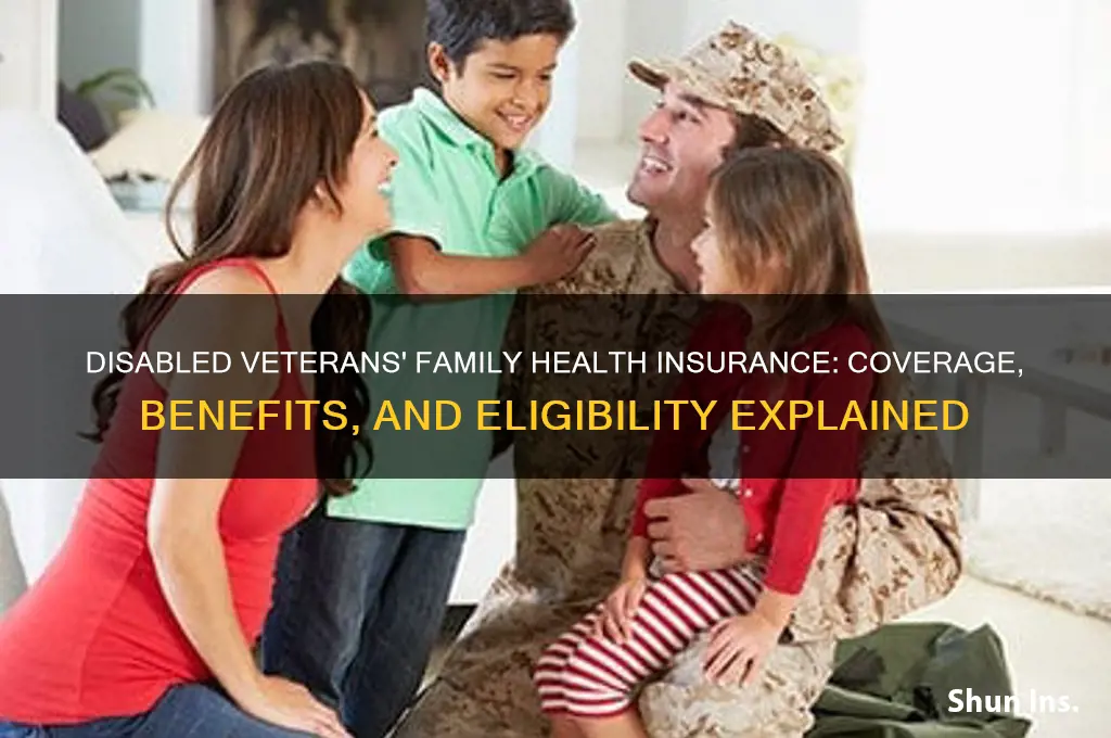 do disabled vet family health insurance