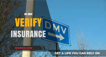 Does the DMV Verify Insurance? What You Need to Know