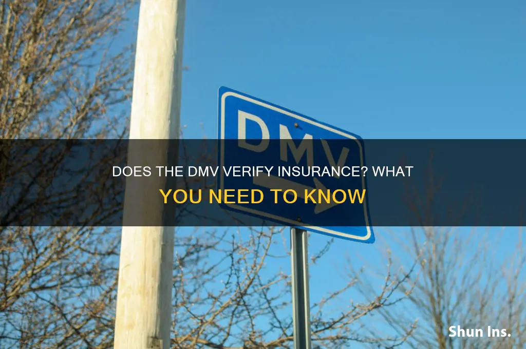 do dmv verify insurance