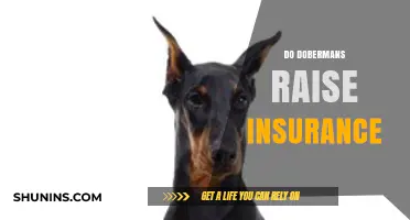 Do Dobermans Impact Homeowners Insurance Rates? What You Need to Know