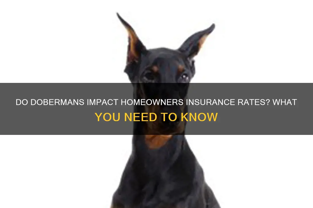 do dobermans raise insurance