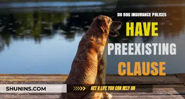 Understanding Pre-Existing Condition Clauses in Dog Insurance Policies