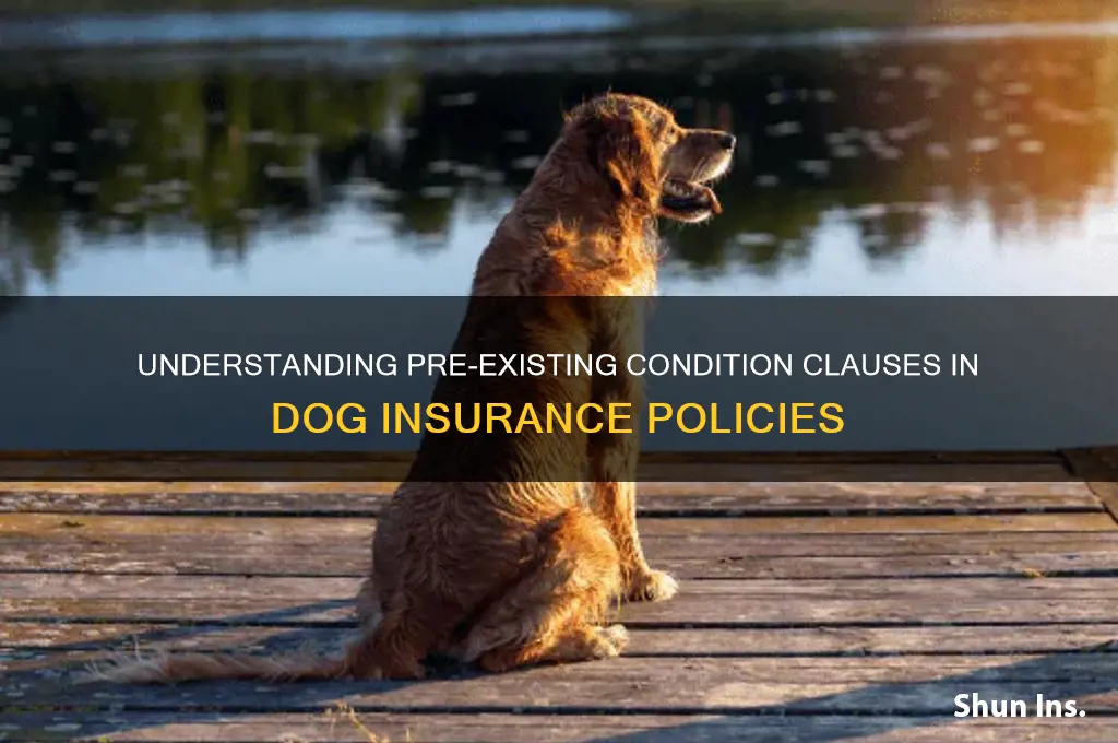 do dog insurance polices have preexisting clause